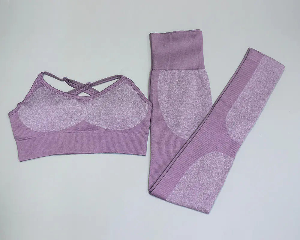 Women's Seamless Quick-Dry Yoga and Running Set