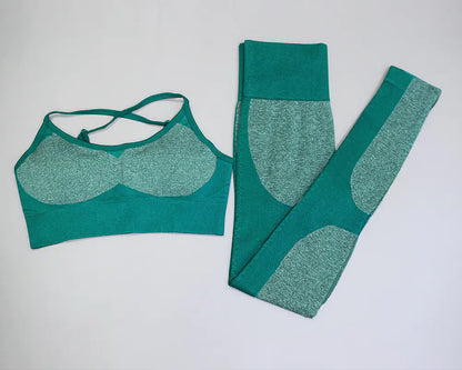 Women's Seamless Quick-Dry Yoga and Running Set