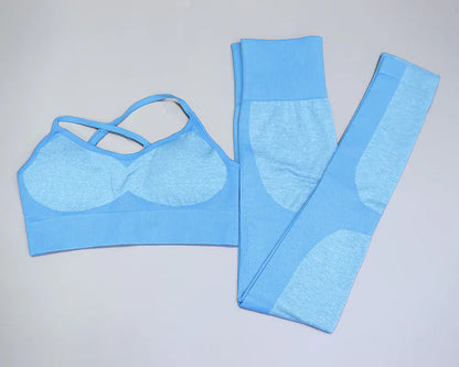 Women's Seamless Quick-Dry Yoga and Running Set