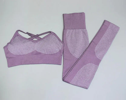 Women's Seamless Quick-Dry Yoga and Running Set