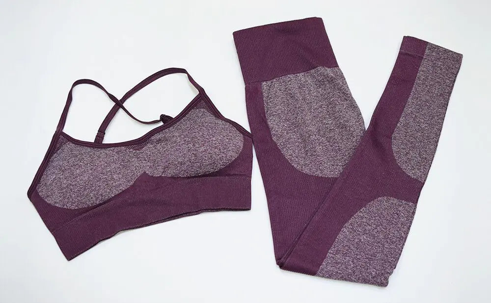 Women's Seamless Quick-Dry Yoga and Running Set