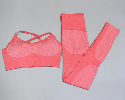 Women's Seamless Quick-Dry Yoga and Running Set