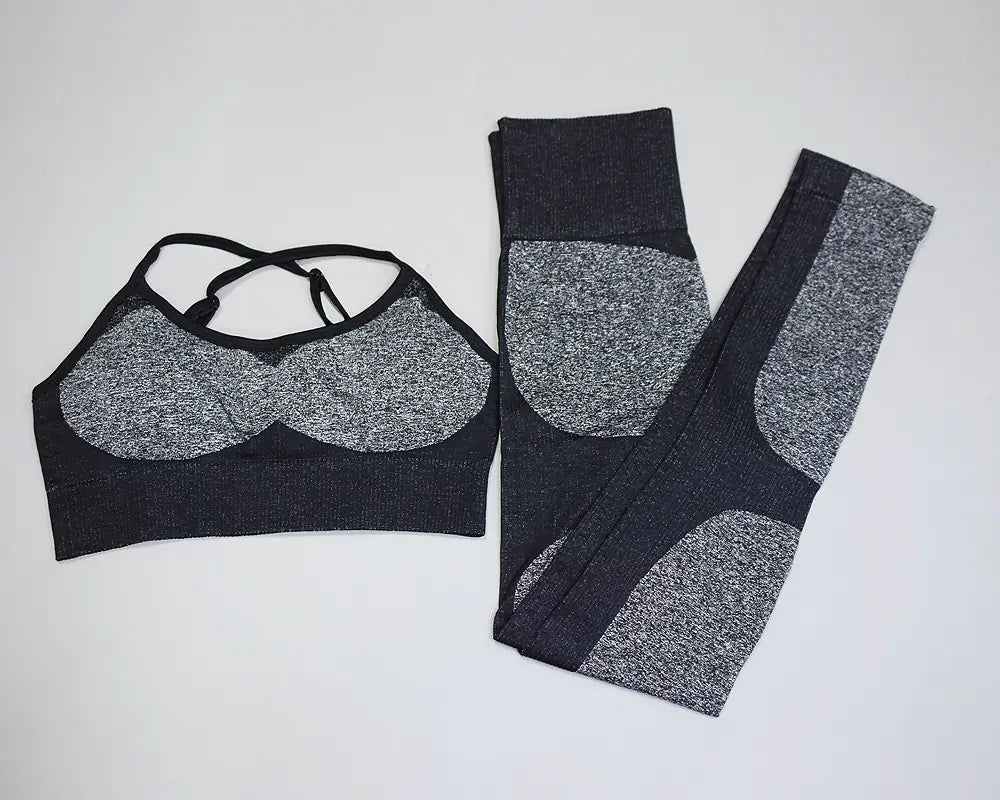 Women's Seamless Quick-Dry Yoga and Running Set