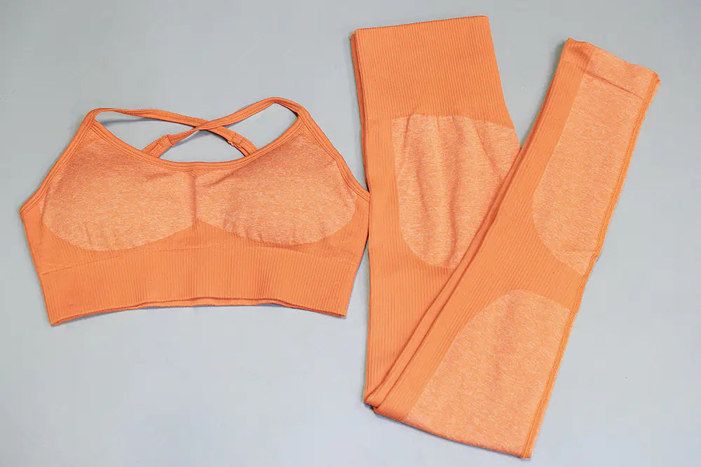 Women's Seamless Quick-Dry Yoga and Running Set