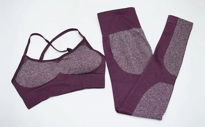 Women's Seamless Quick-Dry Yoga and Running Set