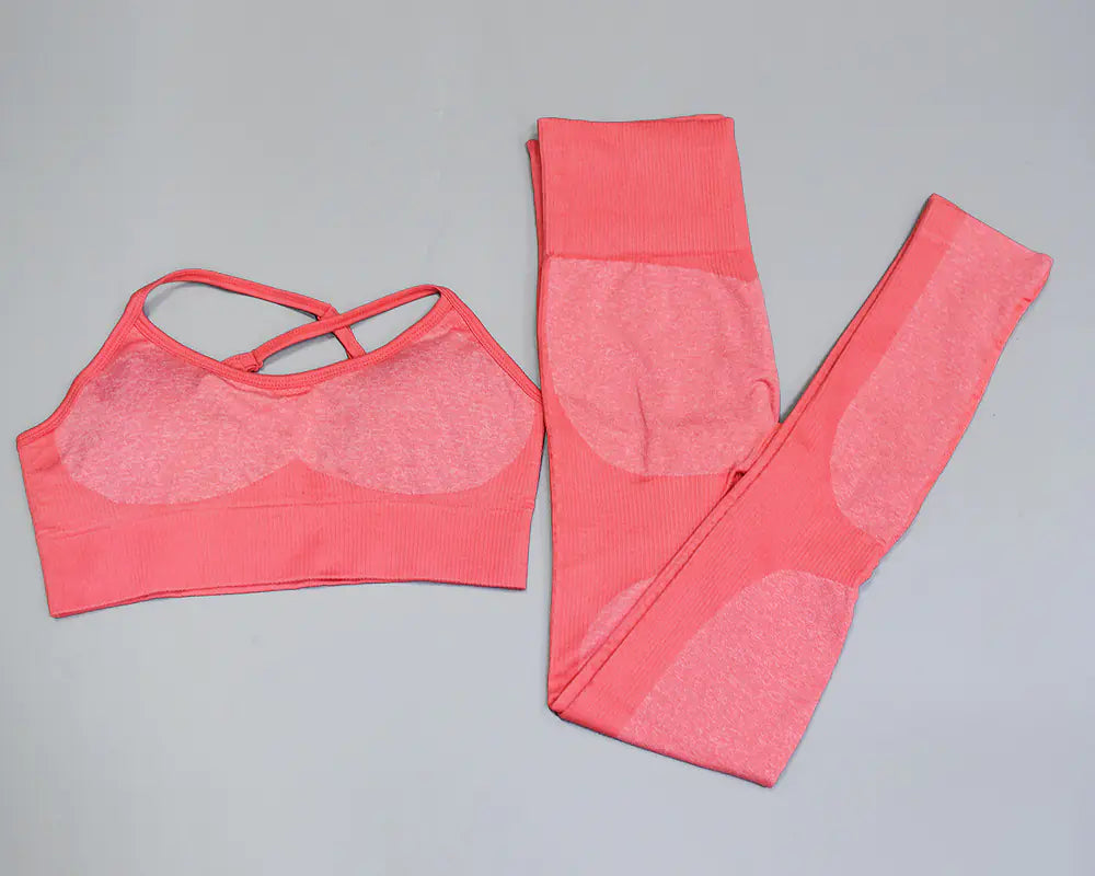 Women's Seamless Quick-Dry Yoga and Running Set