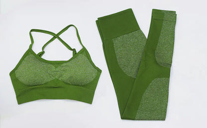 Women's Seamless Quick-Dry Yoga and Running Set