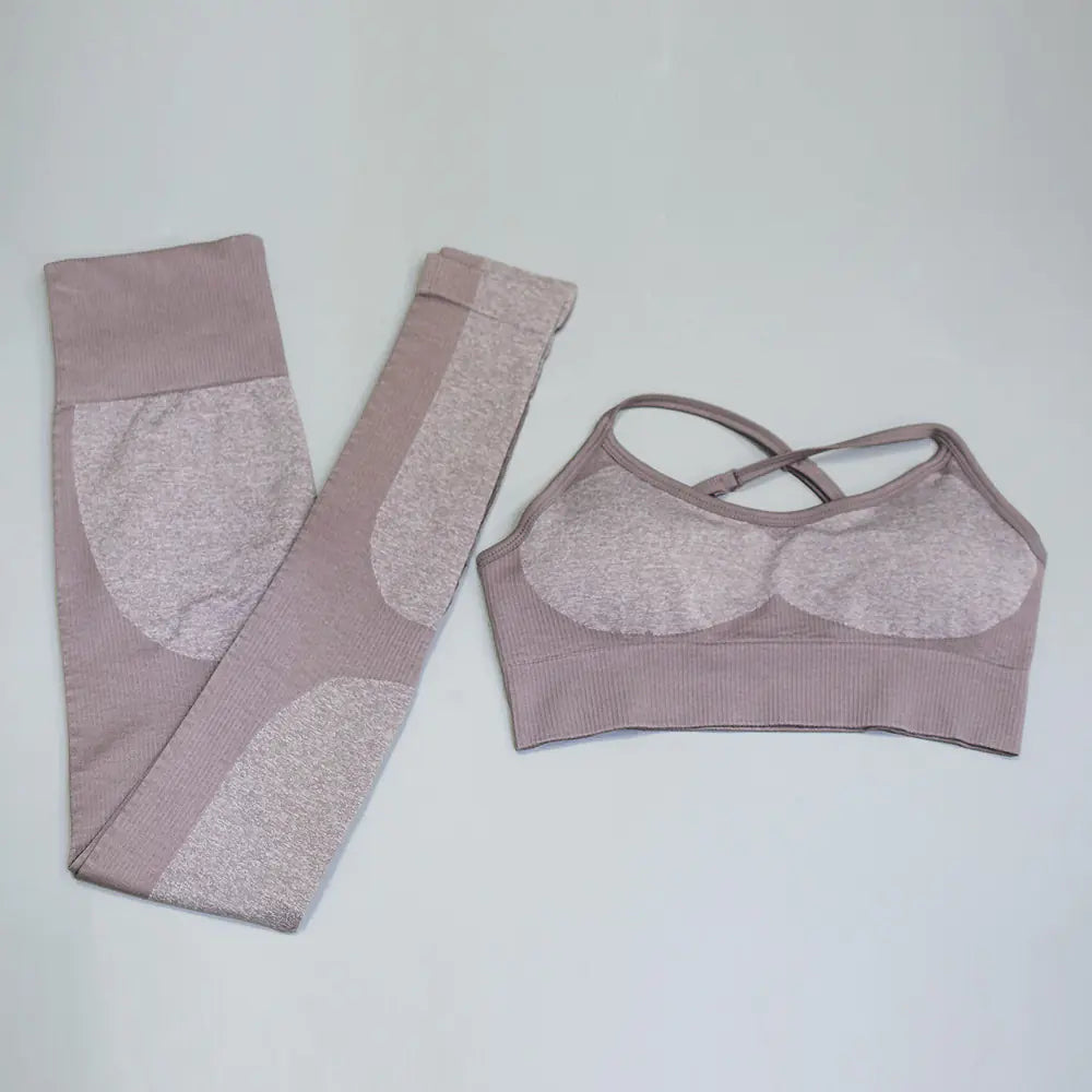 Women's Seamless Quick-Dry Yoga and Running Set