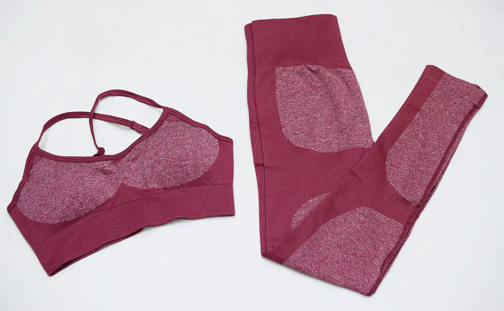 Women's Seamless Quick-Dry Yoga and Running Set