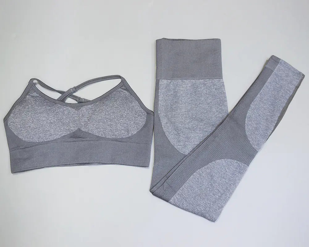 Women's Seamless Quick-Dry Yoga and Running Set
